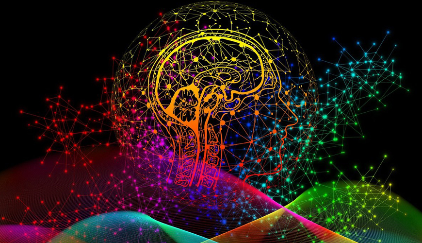 Is Your Brain Just a Gooey Circuit Board? — The Electrifying Truth About How We Think